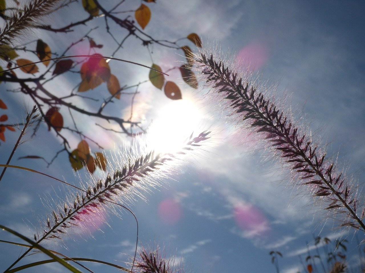 Featured image for “5 Pratiques pour un Mois de Novembre en Harmonie avec les Énergies de la Saison 🌟”