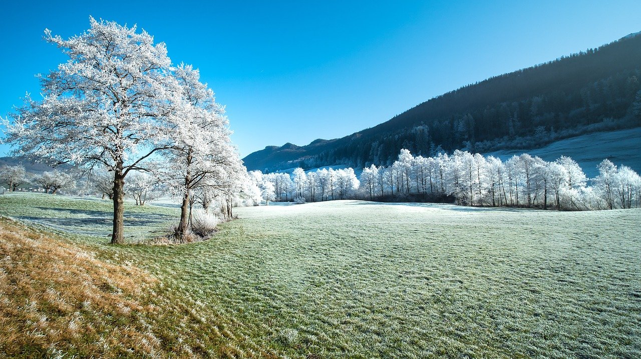 Featured image for “16 décembre : Connexion à la nature 🍃”